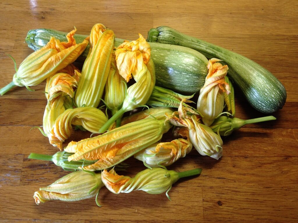 courgette is een van de beste koolhydraatarme groenten die er is