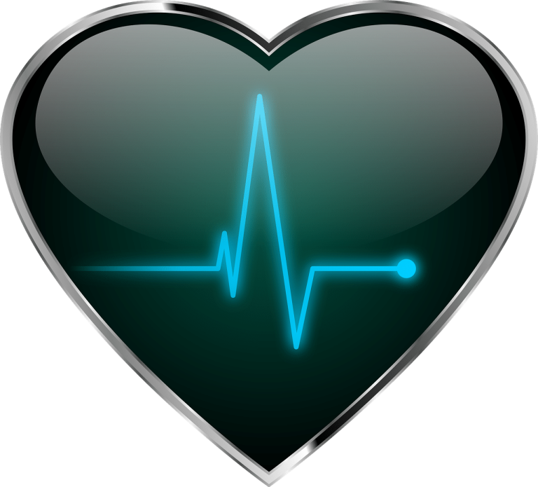 vet verliezen doe je met een hoge hartslag. Hier zie je een hartslagmeter in de vorm van een hart