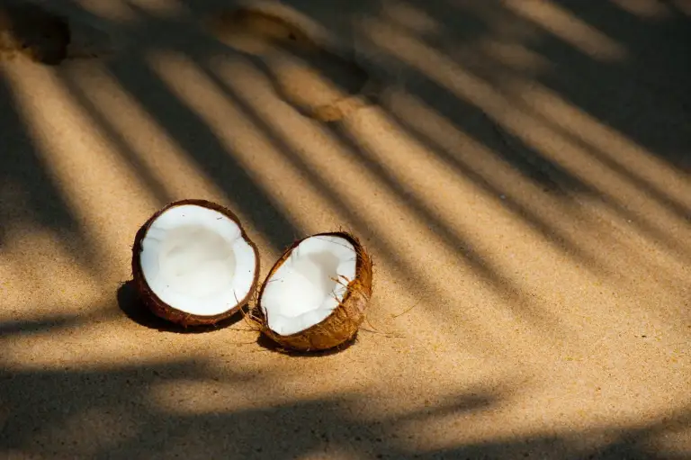 twee kokosnoten op het strrand,w aar je kokosolie va kan maken.