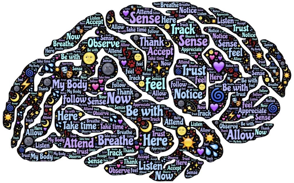 Wat is mindfulness - hersenen