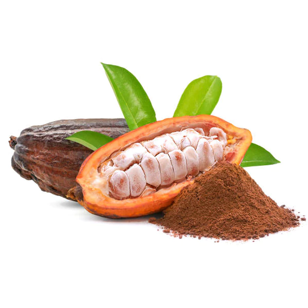 cacaobonen met blaadjes liggen op een bedje van cacao poeder
