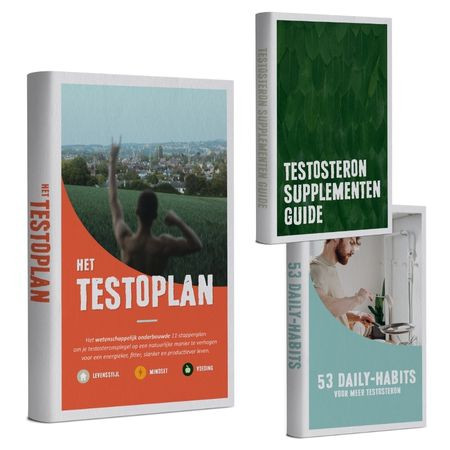 Testosteron: De Kracht achter Man-zijn - cover van het testo plan