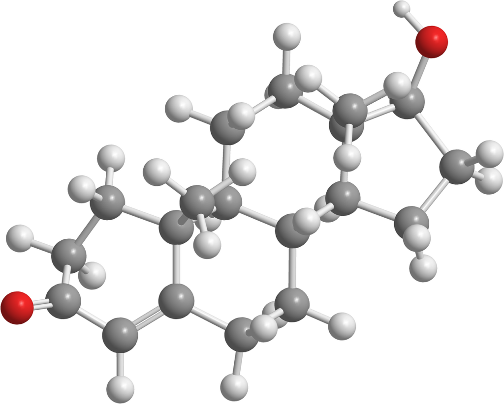 testosteron molecuul 